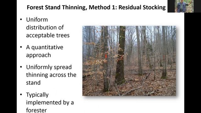Are You Growing Your Best Timber & NE Timber Contest смотреть онлайн