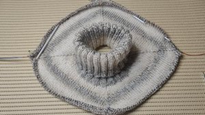 ч.1 Анатомический росток в смещённом реглане. Сверху-вниз по-кругу. (разбираем на схеме)