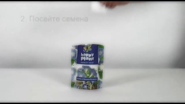 Happy Plant.mp4 смотреть онлайн