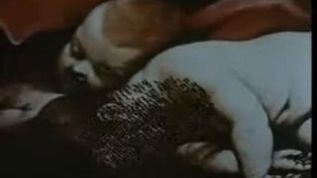 Aenigma смотреть онлайн