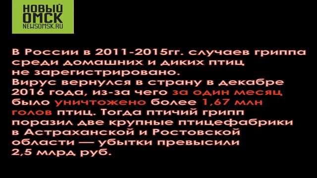 Птичий грипп. Новый Омск смотреть онлайн