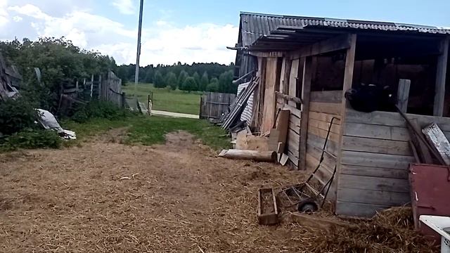 Пришли анализы! Они над нами издеваются😡 смотреть онлайн