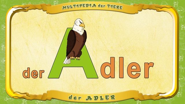 Multipedia Der Tiere Buchstabe. A - Der Adler