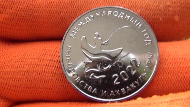 Приднестровье .25 рублей 2021 г. 2022 Международный год кустарного рыболовства и аквакультуры . #555 смотреть онлайн