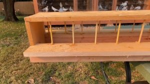 Идеальная кормушка для голубей .￼