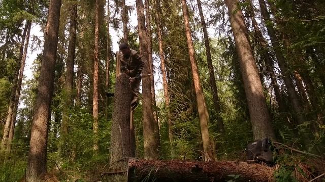 canon 70D съёмка птиц / съёмка кометы смотреть онлайн