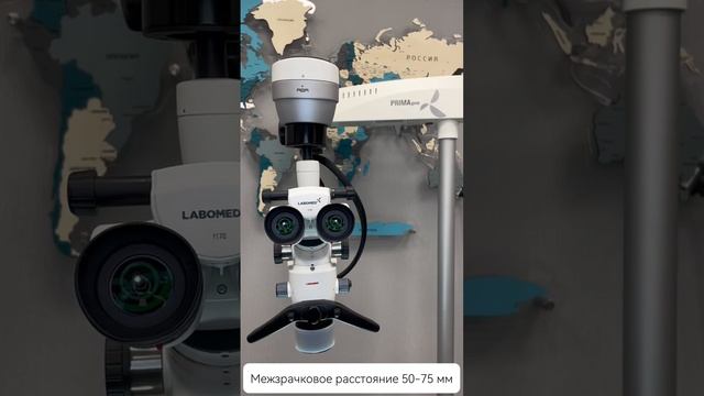 video_2024-12-18_10-09-19 смотреть онлайн