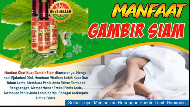 Harga Gambir Siam Testimoni Gambir Siam Asli Wa081233206066 смотреть онлайн