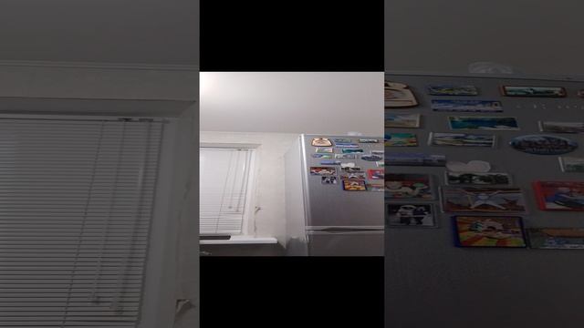 холодец смотреть онлайн