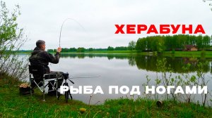 Короткие удочки. Длинное удовольствие