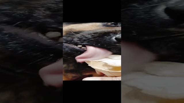 Как положено друзьям. смотреть онлайн