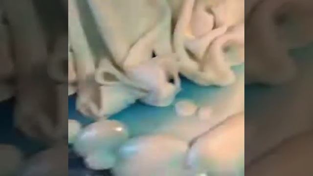 Лепка фигурки "Водолей": видеообзор. смотреть онлайн