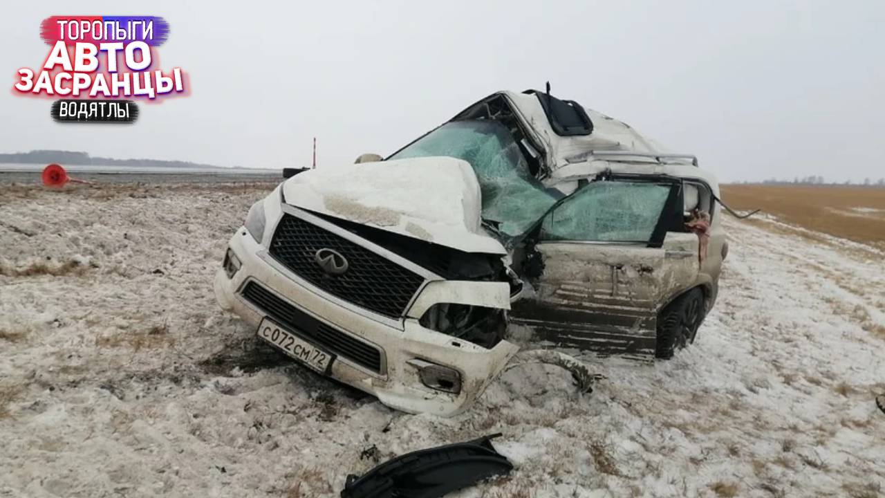 Что у них в голове? Декабрянутые Торопыги и Водятлы ДТП смотреть онлайн