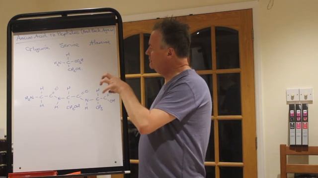 Y13 Peptides and Proteins смотреть онлайн