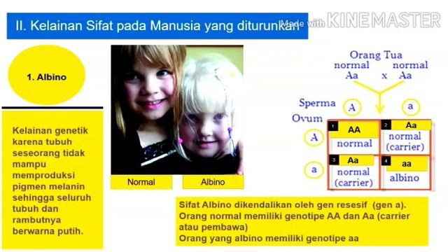 Pewarisan Sifat pada Manusia (IPA kls 9/smt 1) SMPN 3 Singkawang Oleh Caroline,S.P. смотреть онлайн