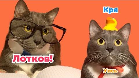 ЕСЛИ БЫ КОТИКИ ХОДИЛИ В ШКОЛУ - УТКА И ЛОТКОВ ВСТРЕЧАЮТ НОВЫЙ ГОД смотреть онлайн
