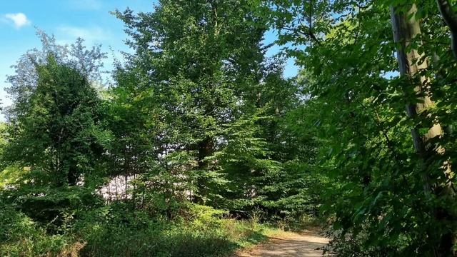 Une fenêtre ouverte - Pauline Ester - Smule - Duo avec AliVe_Nini смотреть онлайн