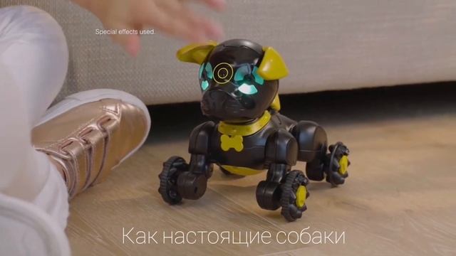 Собачки wow wee chippies смотреть онлайн