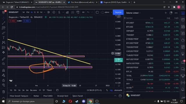 DOGECOİN TESLA ŞİRKETİNDE KABUL EDİLDİ !! ELON MUSKDAN DOGE COİN TWEETİ !! dogecoin analiz смотреть онлайн