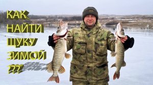 🔥 Где искать ЩУКУ ЗИМОЙ? Как правильно РАССТАВИТЬ ЖЕРЛИЦЫ? Ловля ТРОФЕЙНОЙ ЩУКИ в малом пруду 🔥