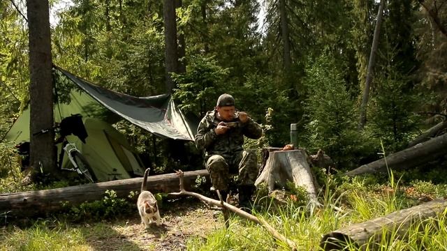 Муся едет в поход )