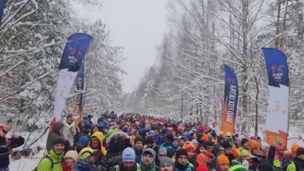 Трейл 2024. Переславль-Залесский. Mad Fox Ultra Obsession