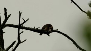 кемпинг в Кубе / мегавидеосолянка