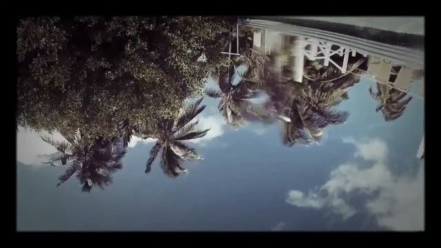 Куба Кайо Ларго 2014 черепахи и рыбки смотреть онлайн