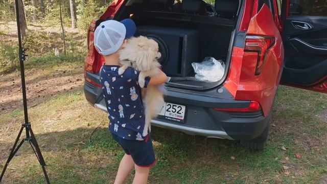 Phoenix Black Bass 12 обзор, прослушка на Москвич 3  #рекомендации #москвич3 #subwoofer #dlaudio