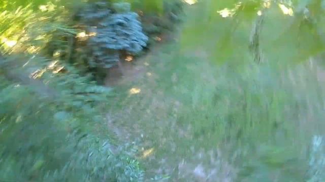 Drone Beetle google footage смотреть онлайн