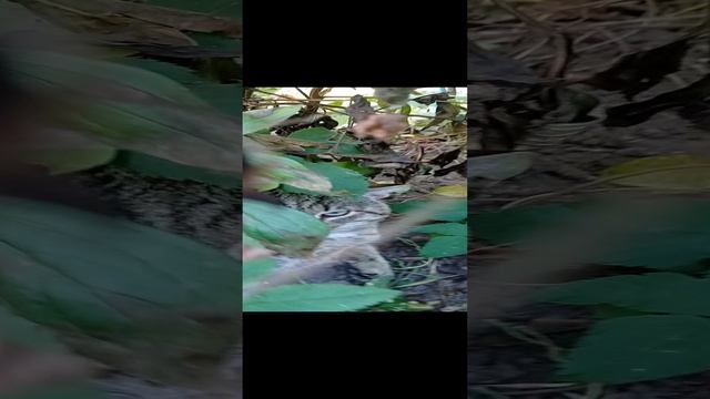 не мешай ####