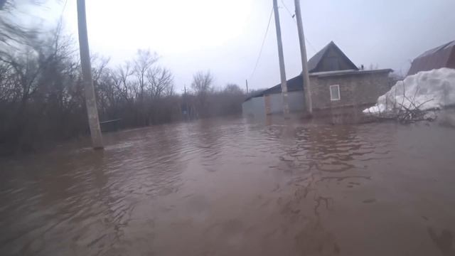 СПАСЕНИЕ ЖИВОТНЫХ, КОТОРЫХ ЛЮДИ ЗАБЫЛИ ВО ДВОРАХ, СПАСАЯСЬ ОТ СТИХИИ!! ПАВОДОК В ОРЕНБУРГЕ! смотреть онлайн
