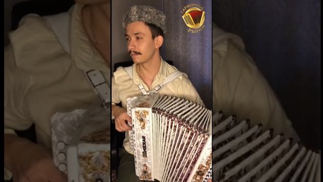 Посмотрите, насколько приятно играть на гармошке! Казак сыграл от души на белой Шуйской красавице! смотреть онлайн