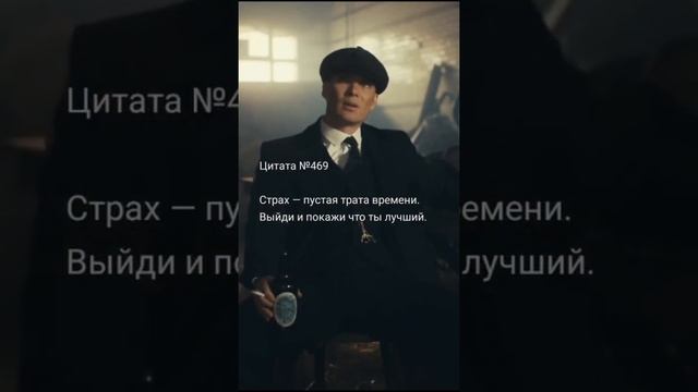 Больше цитат Волков у нас #цитаты смотреть онлайн