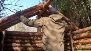 Строительство деревянного дома в лесу