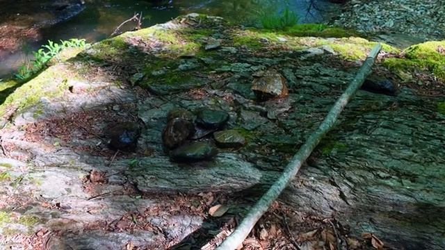 3 Дня одиночного похода, строительство теплого укрытия смотреть онлайн