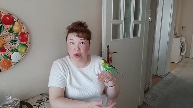 Влог_Жизнь в Турции ✔️ Обычный день Турецкой Жены ✔️ Болталка ✔️Турция смотреть онлайн