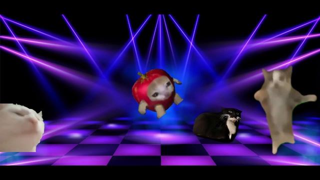 PHONK SONG - PHONK CAT AND FRIENDS 🪩😺😺 #catmemes #bananacat #happycat #maxwell #phonksongs