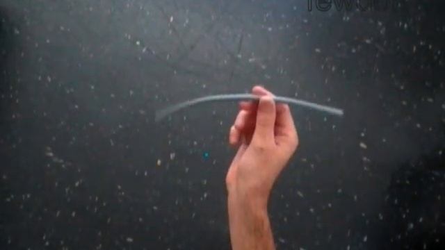 Ant Balloon Animals смотреть онлайн