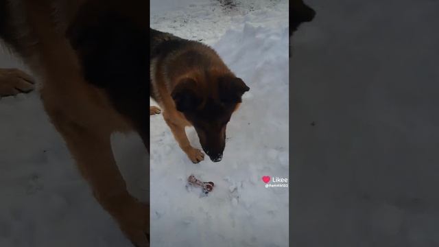 Веселуха смотреть онлайн