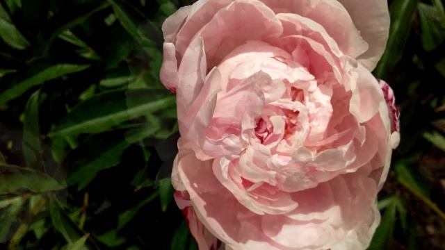 КОМЕДИЯ РОК О Любви!)) смотреть онлайн