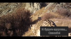 ЧИХ)) Будьте здоровы. Спасибо.