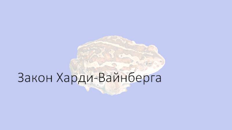 27 линия. Закон Харди-Вайнберга