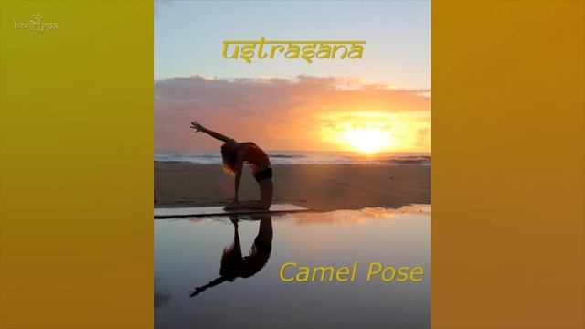 Learn Sanskrit Names for Yoga Backbends смотреть онлайн