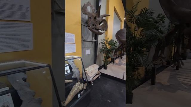 Dinosaur Museum смотреть онлайн