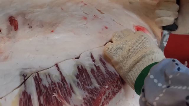 고기에 진심인 남자들! 소고기, 스테이크 달인 BEST 몰아보기 Amazing Knife Skills! 6 Best Korean Beef Steak Master Collectio