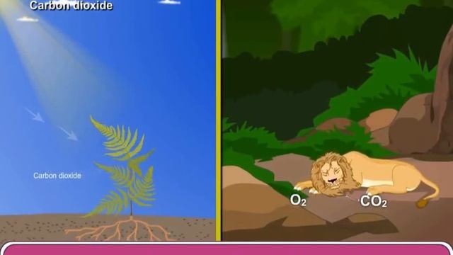 What is Air? смотреть онлайн