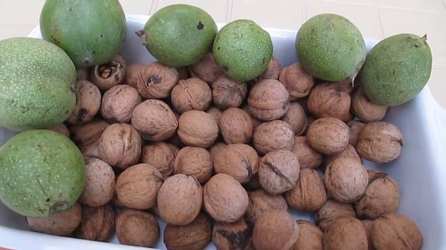 Орех поспел грецкий The walnut has ripened смотреть онлайн