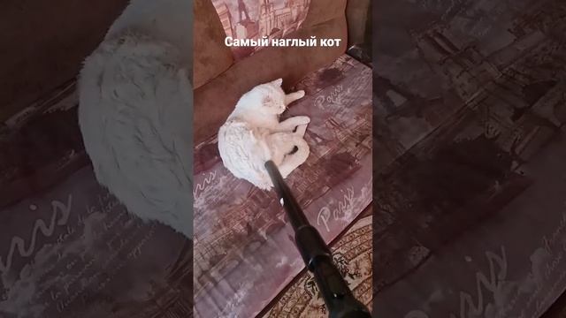 А мне по барабану