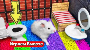 Помогаем хомяку выбраться из Сложнейшего лабиринта для умнейших животных ! Видео для детей 👍